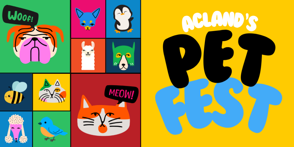 Acland's Pet Fest St Kilda